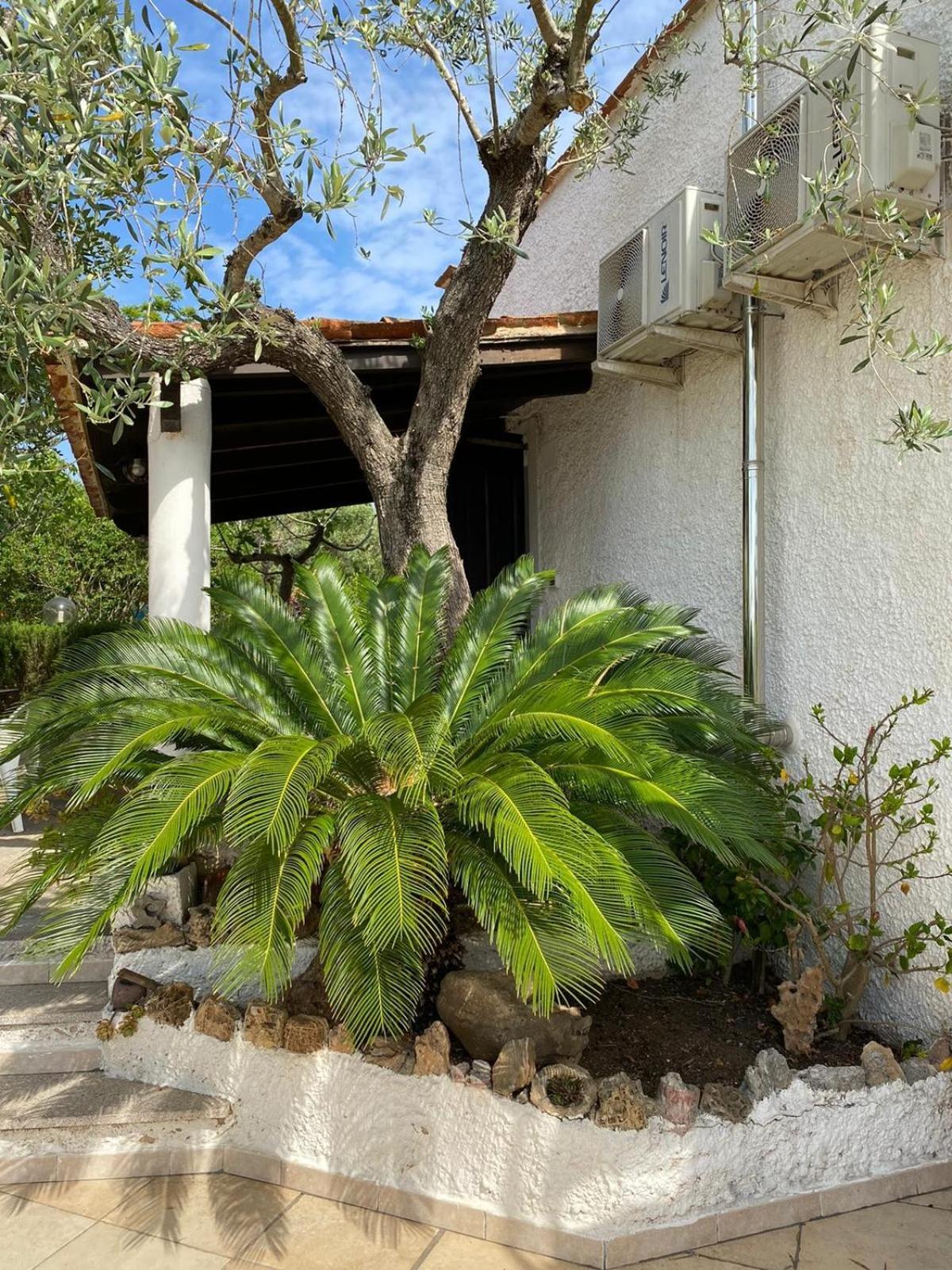 Domo Angheleda - Alghero Casa Indipendente Vicino Al Mare Buitenkant foto